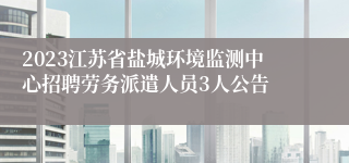 2023江苏省盐城环境监测中心招聘劳务派遣人员3人公告