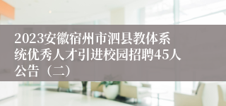 2023安徽宿州市泗县教体系统优秀人才引进校园招聘45人公告（二）