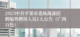 2023中共平果市委统战部招聘编外聘用人员1人公告（广西百色）