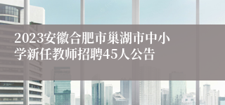 2023安徽合肥市巢湖市中小学新任教师招聘45人公告