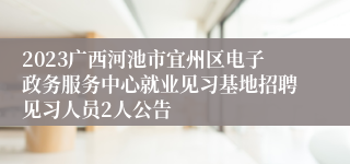 2023广西河池市宜州区电子政务服务中心就业见习基地招聘见习人员2人公告