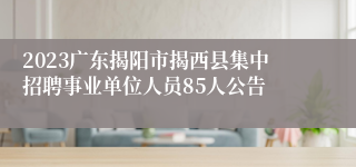 2023广东揭阳市揭西县集中招聘事业单位人员85人公告
