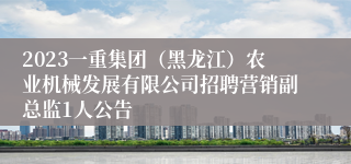2023一重集团（黑龙江）农业机械发展有限公司招聘营销副总监1人公告