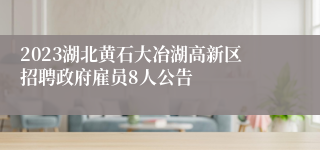 2023湖北黄石大冶湖高新区招聘政府雇员8人公告