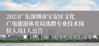 2023广东深圳市宝安区文化广电旅游体育局选聘专业技术岗位人员1人公告