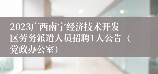 2023广西南宁经济技术开发区劳务派遣人员招聘1人公告（党政办公室）