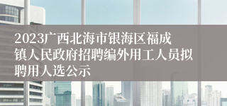 2023广西北海市银海区福成镇人民政府招聘编外用工人员拟聘用人选公示