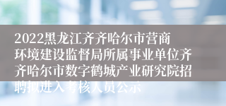 2022黑龙江齐齐哈尔市营商环境建设监督局所属事业单位齐齐哈尔市数字鹤城产业研究院招聘拟进入考核人员公示