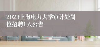 2023上海电力大学审计处岗位招聘1人公告