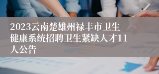 2023云南楚雄州禄丰市卫生健康系统招聘卫生紧缺人才11人公告