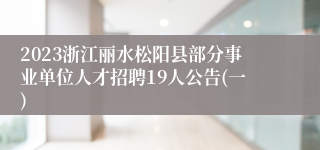 2023浙江丽水松阳县部分事业单位人才招聘19人公告(一) 