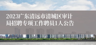 2023广东清远市清城区审计局招聘专项工作聘员1人公告