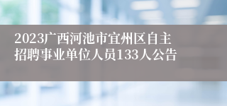 2023广西河池市宜州区自主招聘事业单位人员133人公告