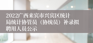 2022广西来宾市兴宾区统计局统计协管员（协统员）补录拟聘用人员公示