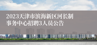 2023天津市滨海新区河长制事务中心招聘3人员公告