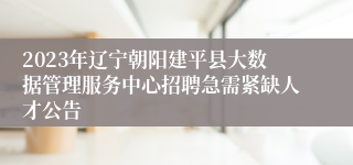 2023年辽宁朝阳建平县大数据管理服务中心招聘急需紧缺人才公告