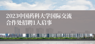 2023中国药科大学国际交流合作处招聘1人启事