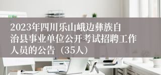 2023年四川乐山峨边彝族自治县事业单位公开考试招聘工作人员的公告（35人）