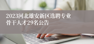 2023河北雄安新区选聘专业骨干人才29名公告