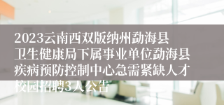 2023云南西双版纳州勐海县卫生健康局下属事业单位勐海县疾病预防控制中心急需紧缺人才校园招聘3人公告