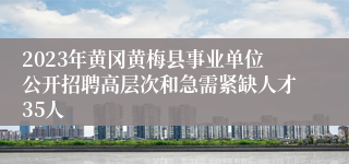 2023年黄冈黄梅县事业单位公开招聘高层次和急需紧缺人才35人