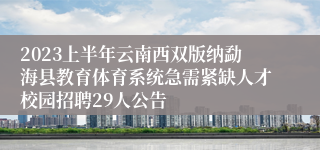 2023上半年云南西双版纳勐海县教育体育系统急需紧缺人才校园招聘29人公告