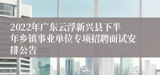 2022年广东云浮新兴县下半年乡镇事业单位专项招聘面试安排公告