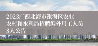 2023广西北海市银海区农业农村和水利局招聘编外用工人员3人公告