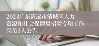 2023广东清远市清城区人力资源和社会保障局招聘专项工作聘员3人公告