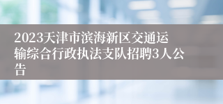 2023天津市滨海新区交通运输综合行政执法支队招聘3人公告