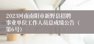 2023河南南阳市新野县招聘事业单位工作人员总成绩公告（第6号）