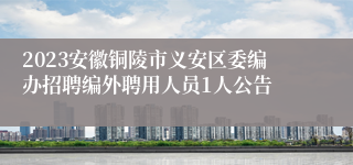 2023安徽铜陵市义安区委编办招聘编外聘用人员1人公告