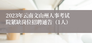 2023年云南文山州人事考试院紧缺岗位招聘通告（1人）