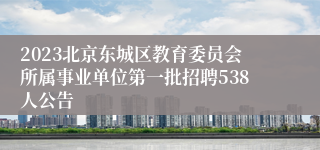 2023北京东城区教育委员会所属事业单位第一批招聘538人公告