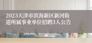 2023天津市滨海新区新河街道所属事业单位招聘3人公告