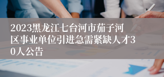 2023黑龙江七台河市茄子河区事业单位引进急需紧缺人才30人公告