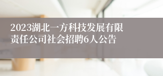 2023湖北一方科技发展有限责任公司社会招聘6人公告