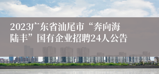 2023广东省汕尾市“奔向海陆丰”国有企业招聘24人公告