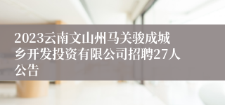 2023云南文山州马关骏成城乡开发投资有限公司招聘27人公告