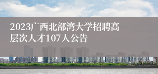 2023广西北部湾大学招聘高层次人才107人公告