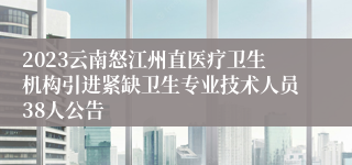 2023云南怒江州直医疗卫生机构引进紧缺卫生专业技术人员38人公告