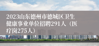 2023山东德州市德城区卫生健康事业单位招聘291人（医疗岗275人）