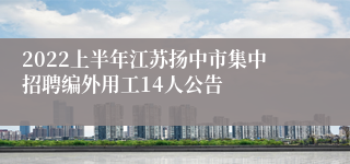 2022上半年江苏扬中市集中招聘编外用工14人公告