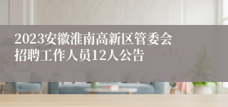 2023安徽淮南高新区管委会招聘工作人员12人公告