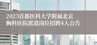 2023首都医科大学附属北京胸科医院派遣岗位招聘4人公告