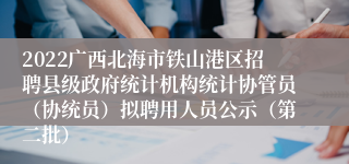 2022广西北海市铁山港区招聘县级政府统计机构统计协管员（协统员）拟聘用人员公示（第二批）