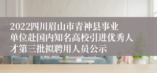 2022四川眉山市青神县事业单位赴国内知名高校引进优秀人才第三批拟聘用人员公示