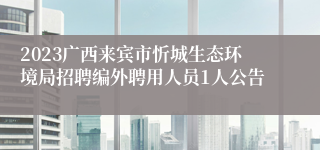 2023广西来宾市忻城生态环境局招聘编外聘用人员1人公告