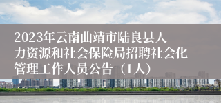 2023年云南曲靖市陆良县人力资源和社会保险局招聘社会化管理工作人员公告（1人）