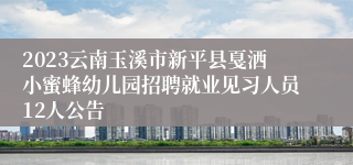 2023云南玉溪市新平县戛洒小蜜蜂幼儿园招聘就业见习人员12人公告